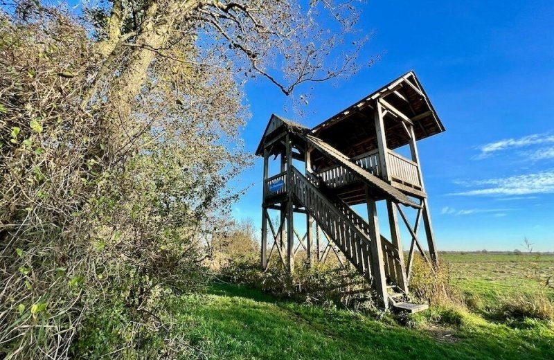 Lettelberterpetten toren marcella molenaar
